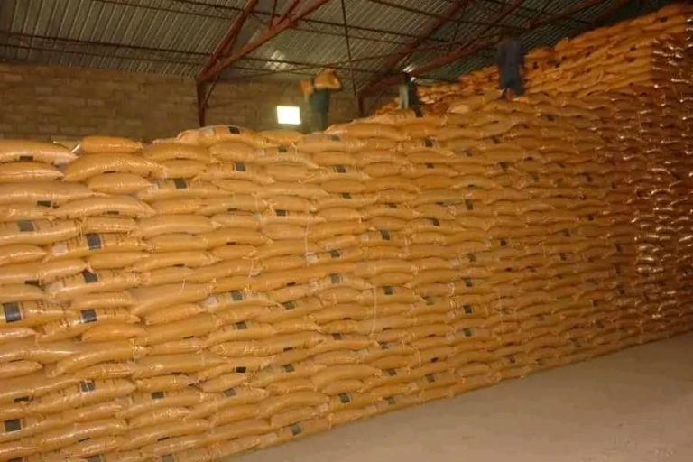 የመኸሩ ተስፋ እና ስጋት