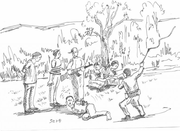 ያልተከበረዉ ሕገ መንግሥታዊ ድንጋጌ