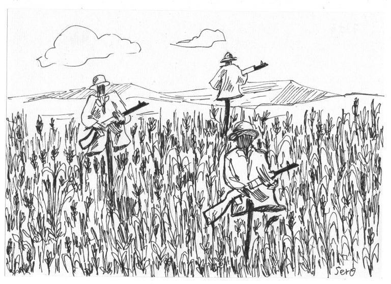 ከአምናው ካልተማርን አወዳደቃችን ይከፋል!