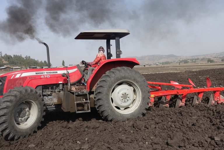 በሰላም እጦት የተፈተነው ግብርና እና የግብዓት አቅርቦቱ