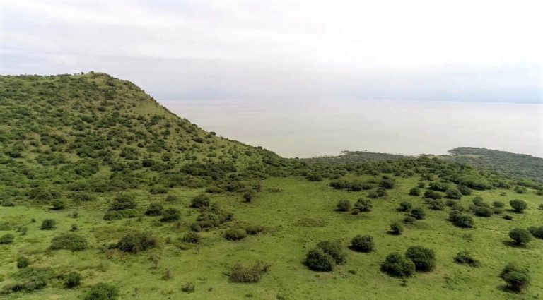 የነጭ ሳር ብሔራዊ ፓርክ