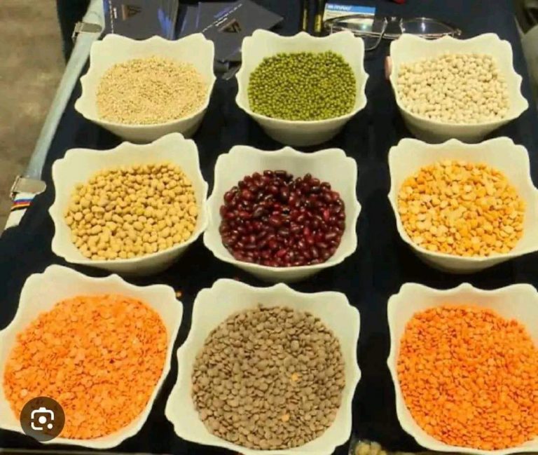 ከወጪ ንግድ ምርቶች ከ600 ሚሊዮን ዶላር በላይ ገቢ ተገኘ