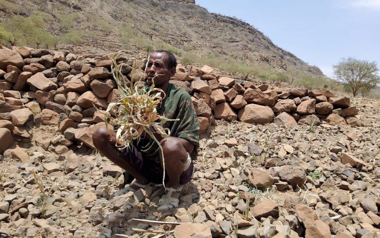 የድርቁ አስከፊ ገጽታ