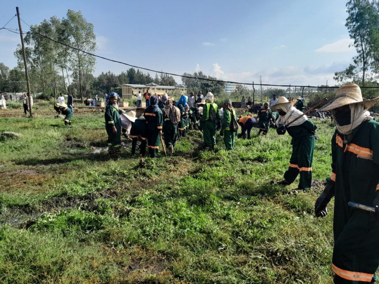 የወባ በሽታ ስርጭትን ለመግታት ምን እየተሠራ ነው?