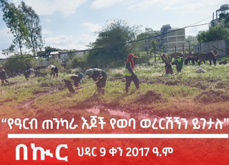 “የዓርብ ጠንካራ እጆች የወባ ወረርሽኝን ይገታሉ”