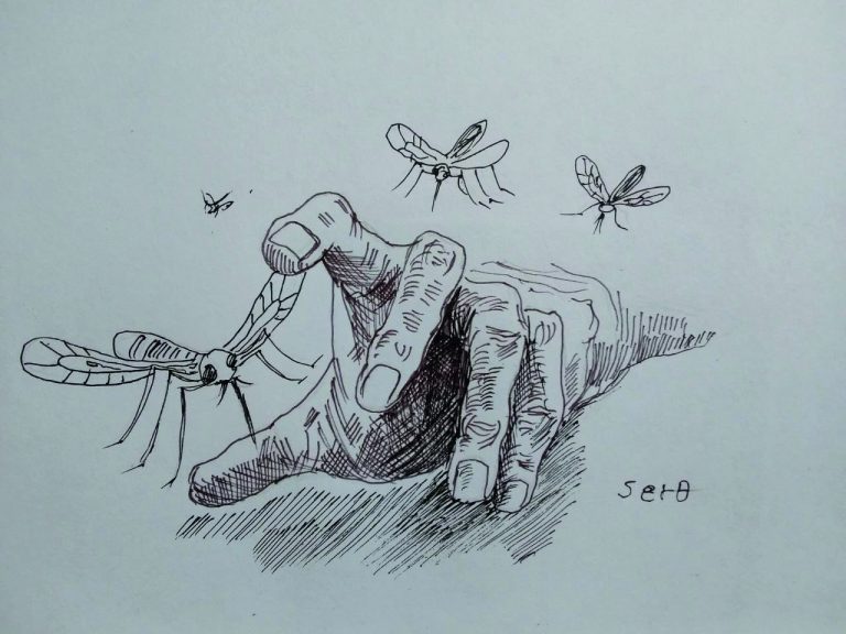 የተቀናጀ ጥረት የወባ ስርጭትን ለመግታት!