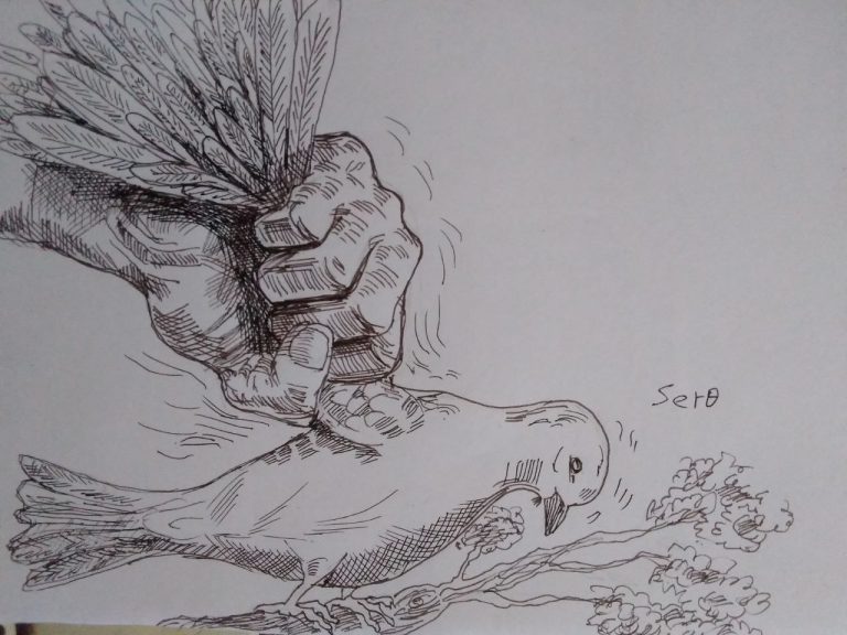 ነጋችን እንዳይጨልም ውይይትን እናስቀድም!