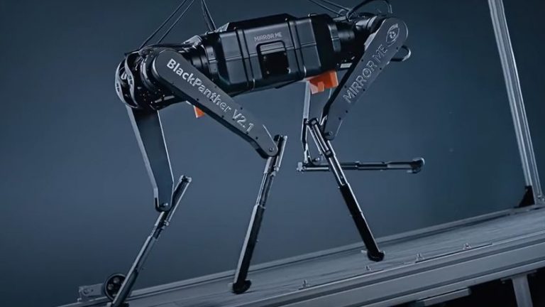 የሩጫዉ ፊትአውራሪ