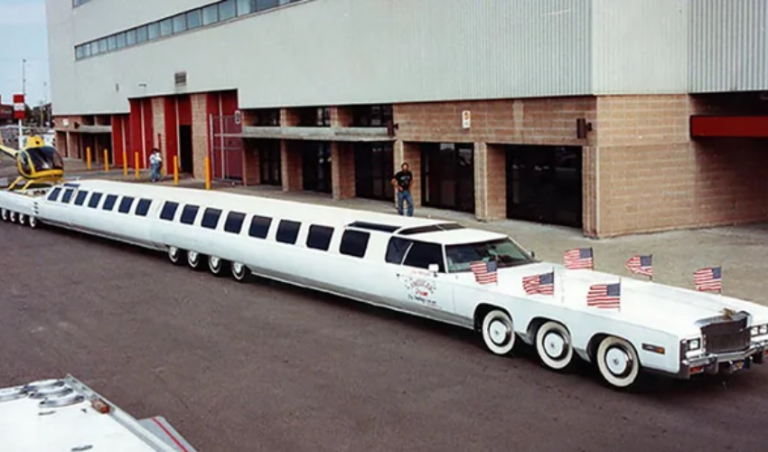 ሽንጠ ረዢሙ ባለክብረ ወሰን