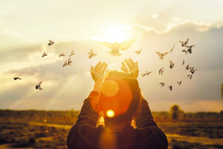 ሰላም እና ፋይዳዉ