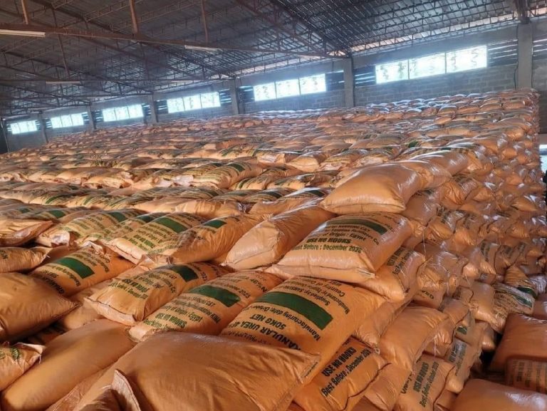 የአፈር ማዳበሪያ አሁናዊ ሁኔታ