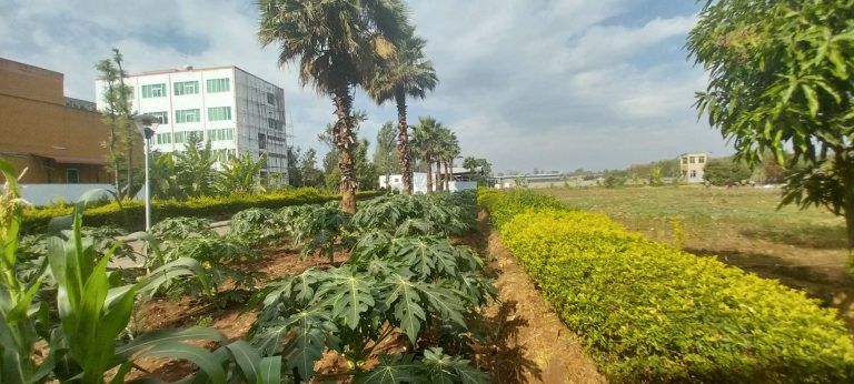 ከገቢም በላይ…