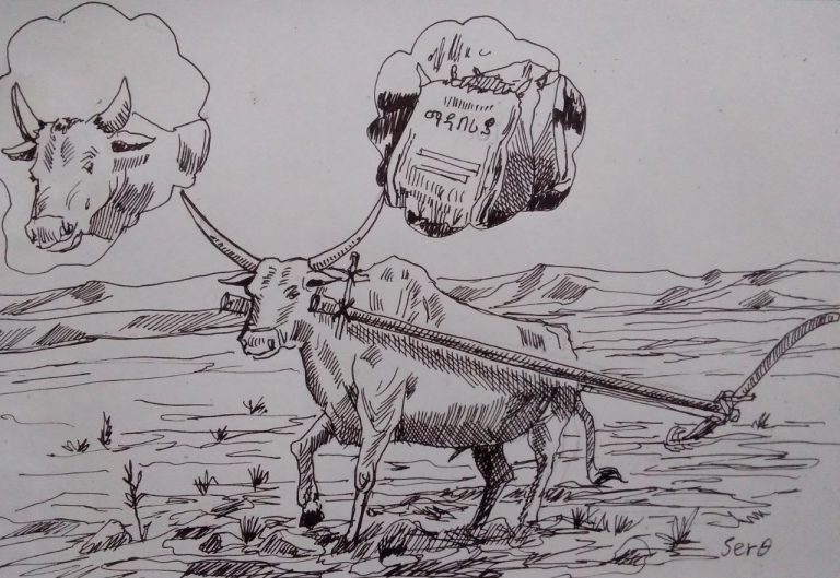 የግብዓት አቅርቦት ለነገ የማይባል ተግባር ነው!