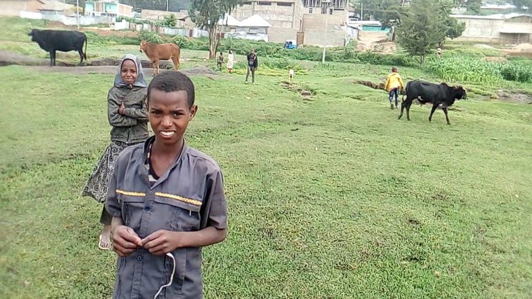 የሀረማያ ሐይቅ