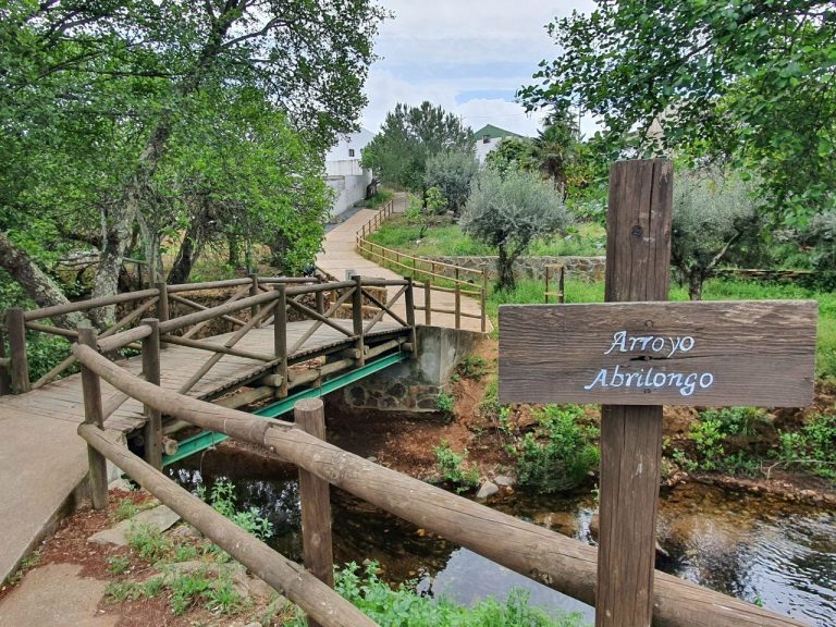 ሀገራትን የሚያገናኘዉ አጭሩ ድልድይ