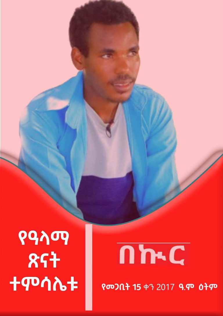 የዓላማ ጽናት ተምሳሌቱ