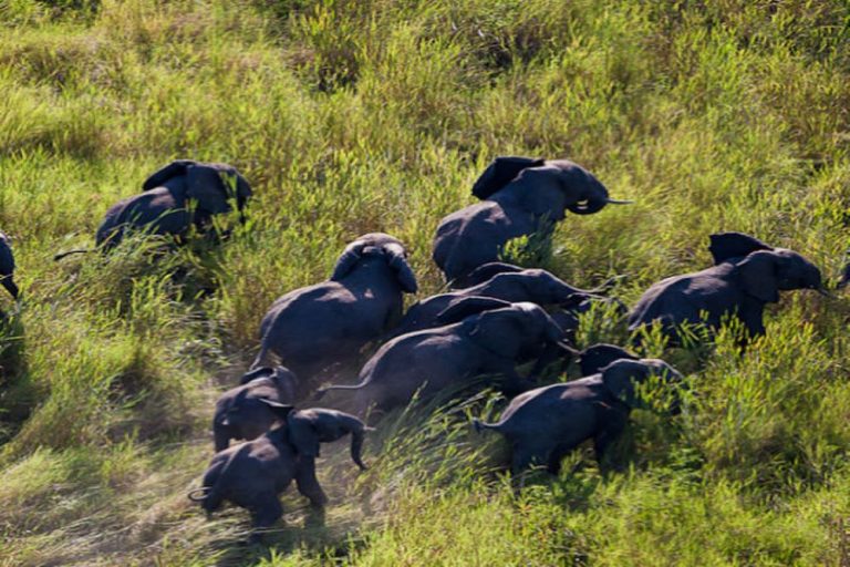 ጋምቤላ ብሔራዊ ፓርክ