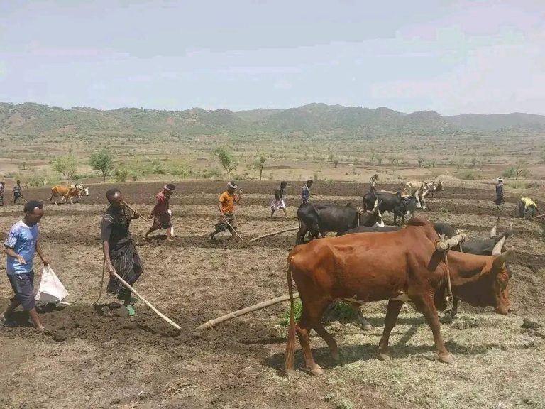 ለተጠባቂዉ ምርት