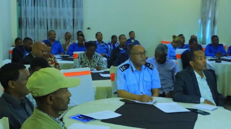 ዘመናዊ የምርመራ ስልትን ለመጠቀም