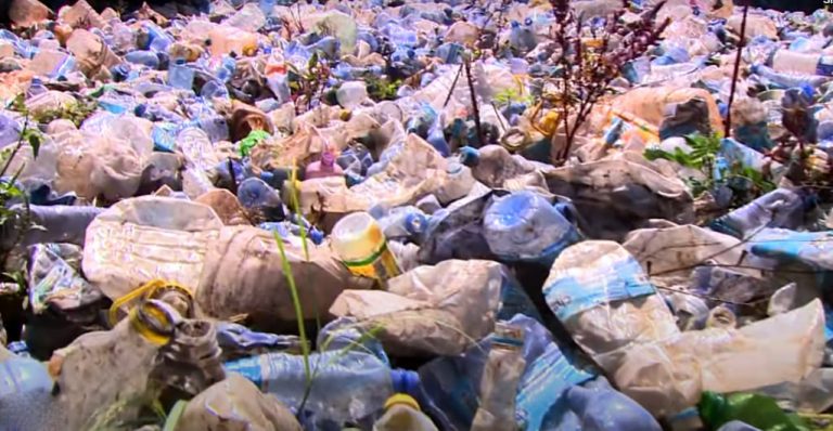 አካባቢን ከጉስቁልና ለመታደግ …