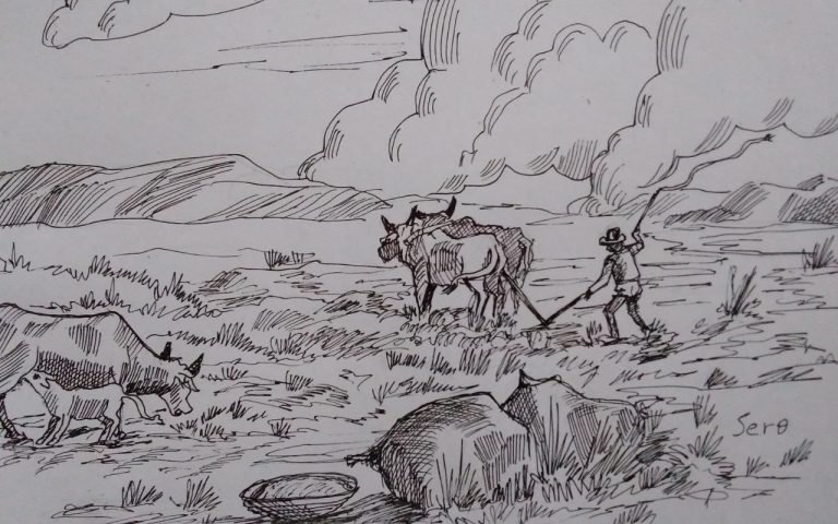 ትኩረት – ለምርት እና ምርታማነት ዕድገት!