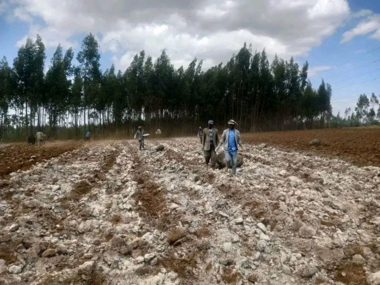 ማንን ይዞ ጉዞ