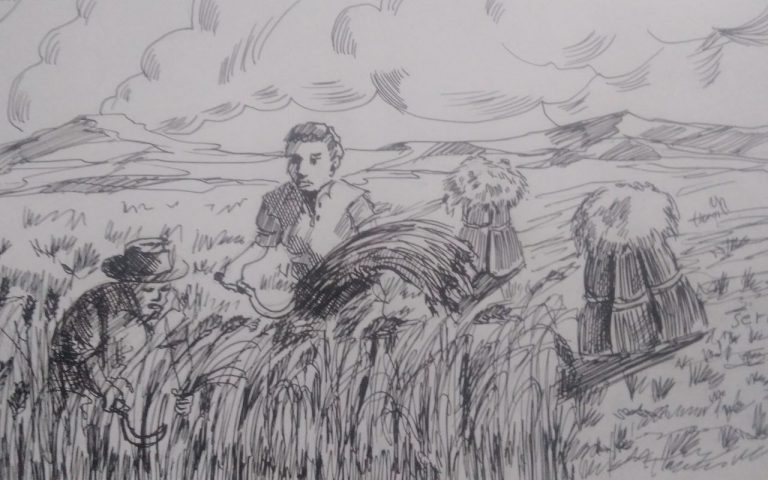 ትኩረት –  ለግብርናው ዘርፍ ምርታማነት