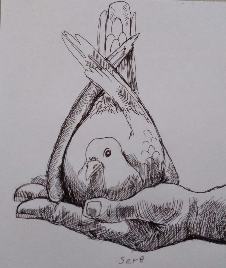 ለውይይቱ ውጤታማነት የድርሻችንን  እንወጣ!