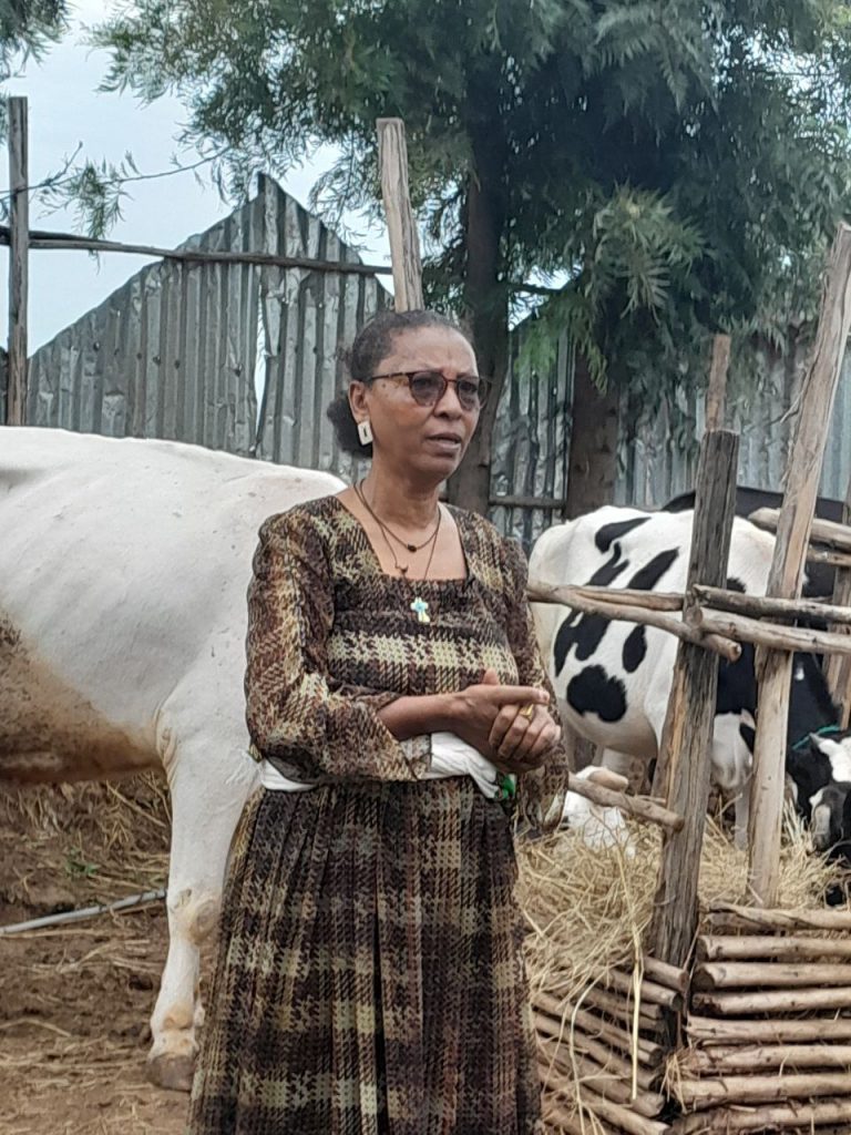 “ከብት ርባታ ለሠራ  ዋጋ ይከፍላል”