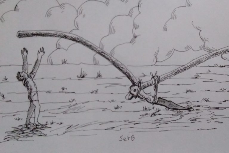 ችግኞችን በመንከባከብ፤ ለፍሬ እናብቃ!