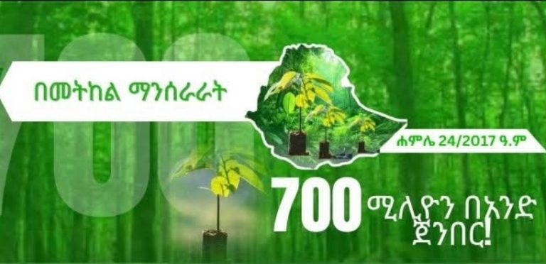 “ኢትዮጵያ የአየር ንብረት መዛባት ፈተናን በአረንጓዴ አሻራ እየተፋለመችው ነው” ርእሰ መስተዳድር አረጋ ከበደ