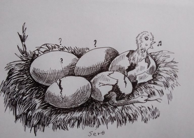 ጅምላ ፍረጃ ለምን?