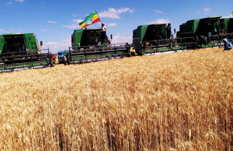 የምርት ብክነት – ትኩረት የሚሻዉ ወቅታዊ ጉዳይ