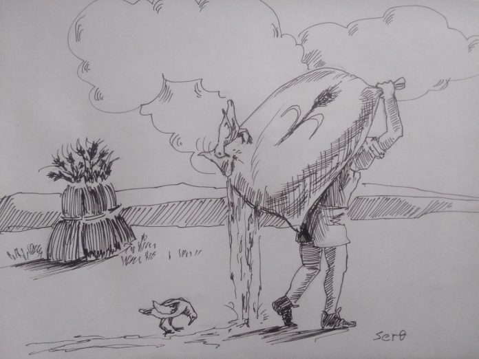 photo_2025-10-31_09-13-18