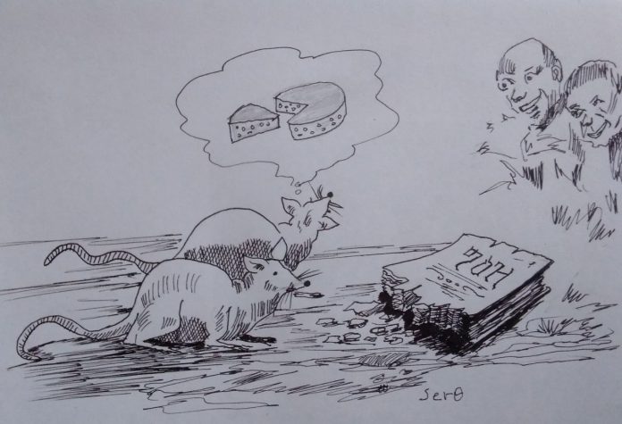 photo_2025-11-06_15-30-06