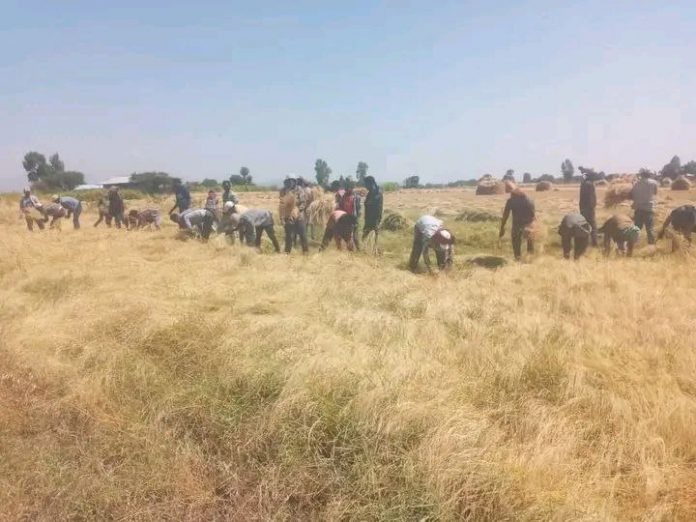 photo_2025-11-13_09-54-41