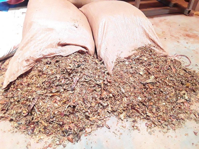 አፍላቶክሲን ምንድን ነው?