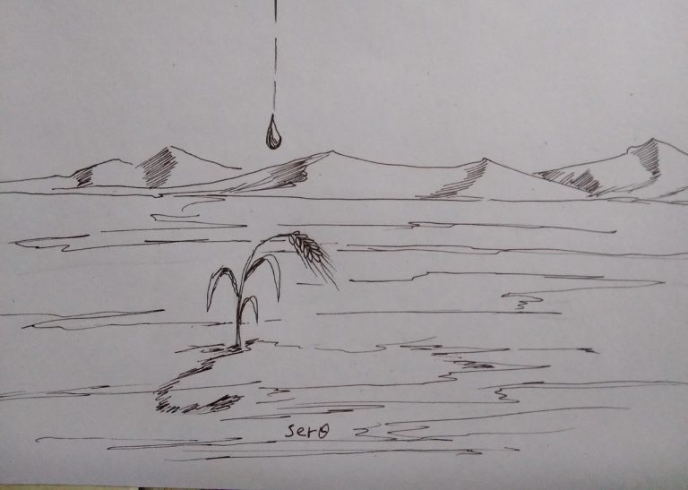 የውኃ አጠቃቀምን በማሻሻል የምግብ ዋስትናን ማረጋገጥ ያስፈልጋል!