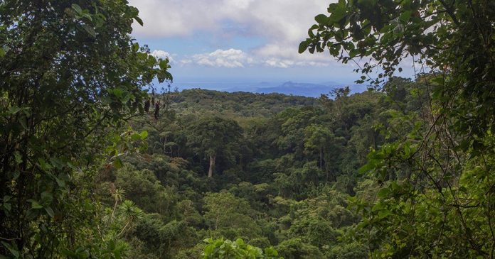 photo_2025-11-26_10-46-38