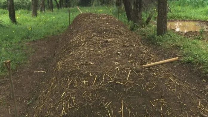 photo_2025-11-26_11-27-48