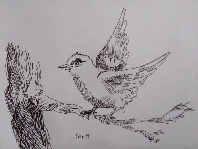 photo_2025-12-04_16-47-11