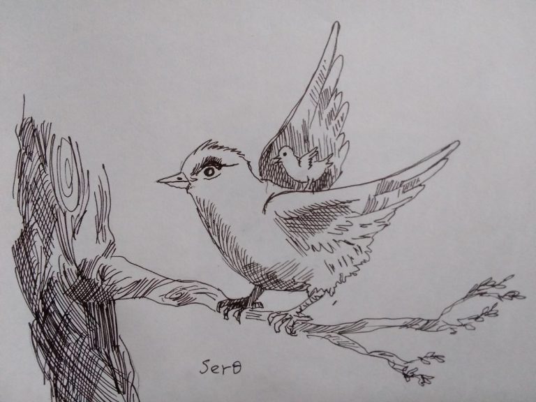 የማንነታችን ነፀብራቅ