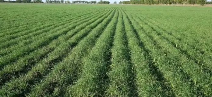 photo_2025-12-10_11-19-30