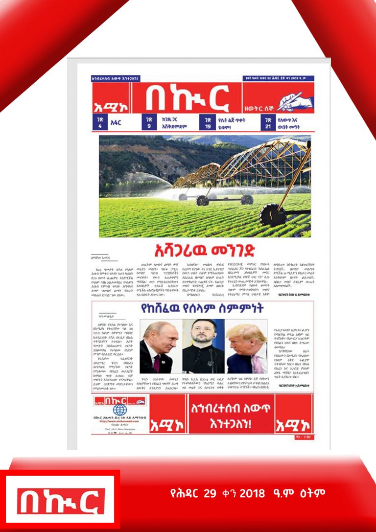 የሕዳር 29-3-2018