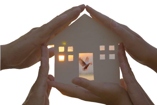 18bbbbbb-removebg-preview