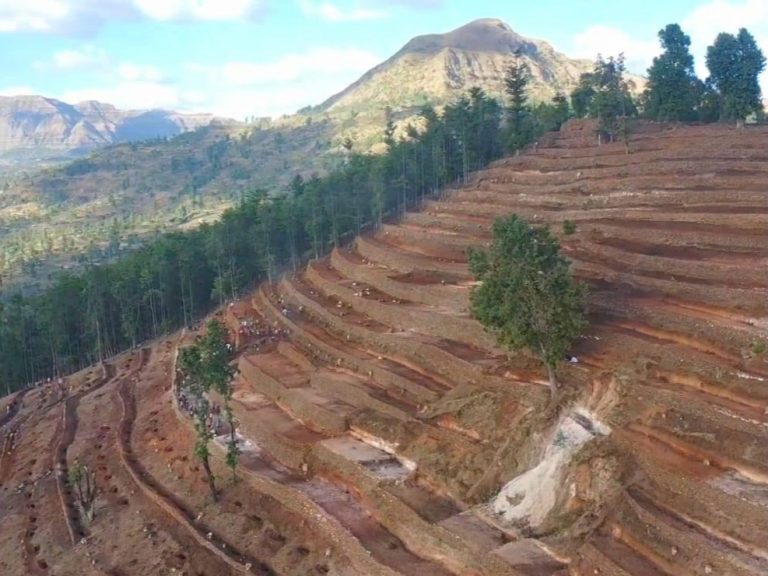 የተፈጥሮ ሀብት ጥበቃ ሥራ በተግባር እየተገለጠ ነው