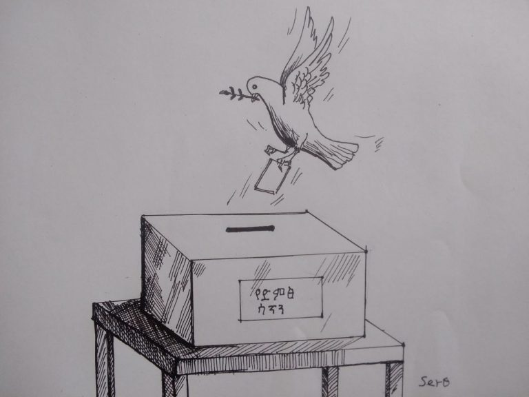 ለሰባተኛዉ ሀገራዊ ምርጫ ስኬታማነት የተጀመሩ ጥረቶች ተጠናክረው ይቀጥሉ!