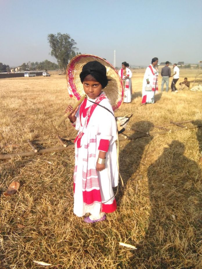 photo_2026-02-10_11-49-35