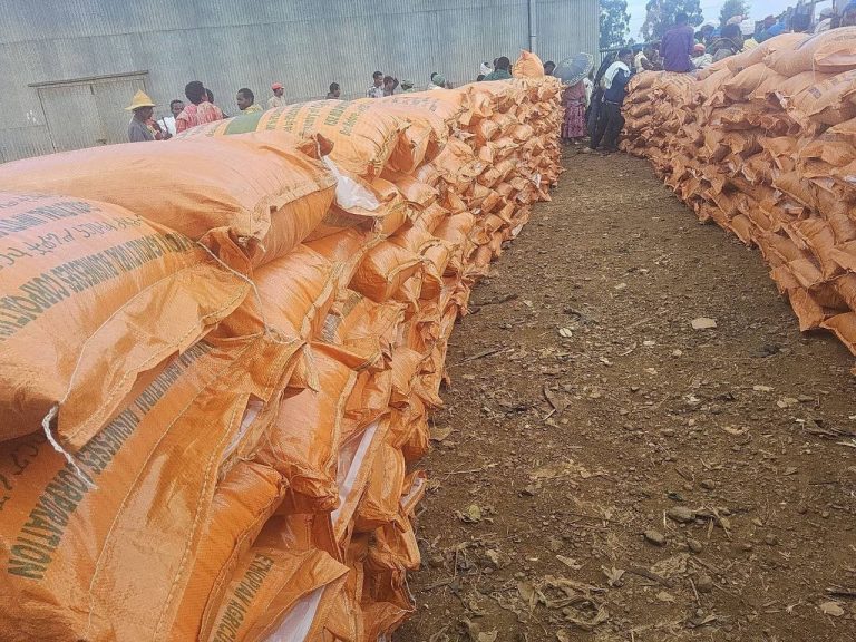 205 ሚሊዮን ኩንታል ለማምረት ታቅዷል