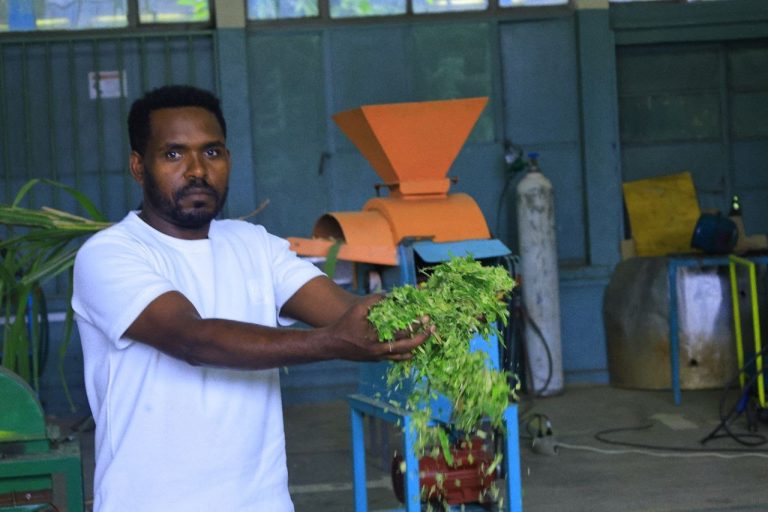 ከፈጠራ ባሻገር